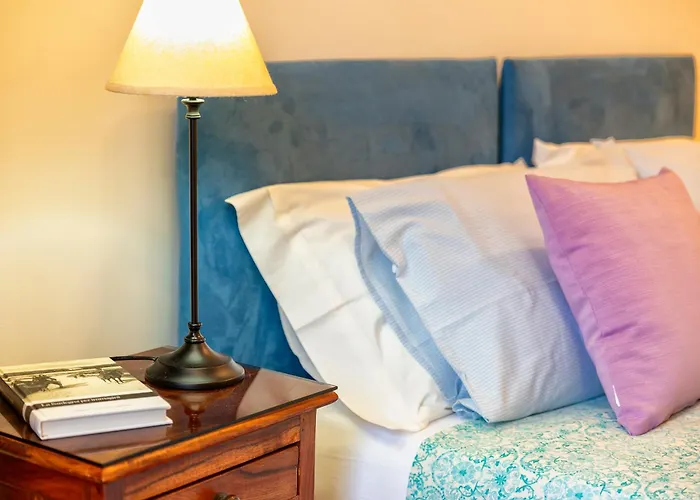 Dada House 阿尔盖罗